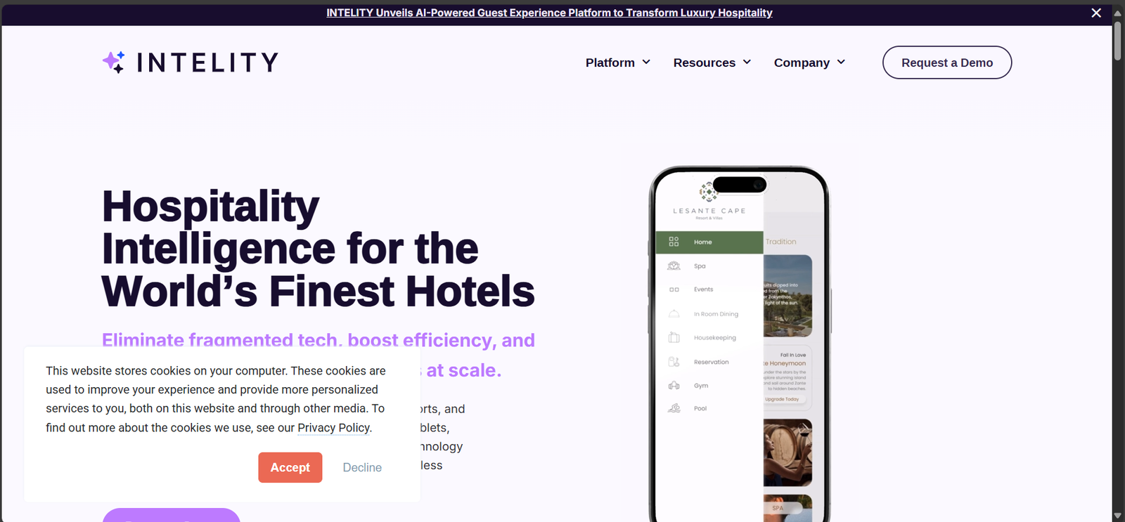 Intelity Website Screenshot